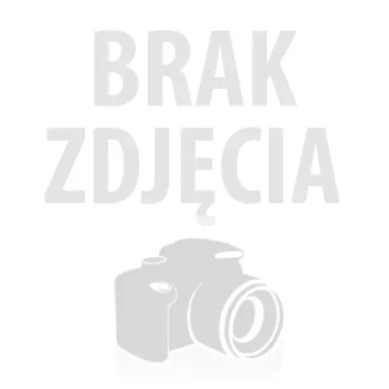 Pochłaniacz 6055 typ A2 do maski 3M